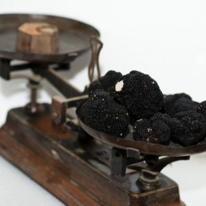 Truffes fraiches "Tuber aestivum " (entières)